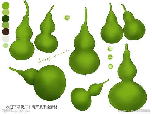 吃葫芦瓜视频素材下载免费,免费下载视频,解锁家常烹饪秘诀 第1张 吃葫芦瓜视频素材下载免费,免费下载视频,解锁家常烹饪秘诀 第1张