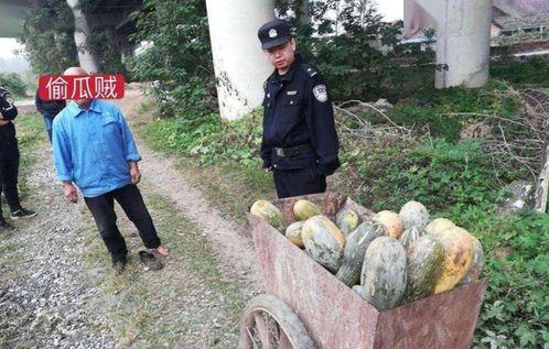 汾阳吃瓜最新事件爆料视频,最新爆料视频揭秘惊人内幕 第3张 汾阳吃瓜最新事件爆料视频,最新爆料视频揭秘惊人内幕 第3张